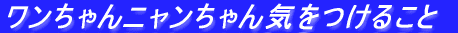 jC邱