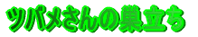 cȏ