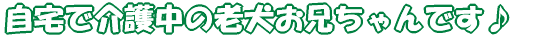 ŉ쒆̘VZI