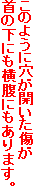 ̂悤ɌJ
̉ɂɂ܂B